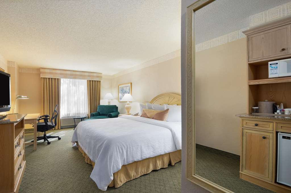Hilton Garden Inn Atlanta North/Johns Creek Szoba fotó